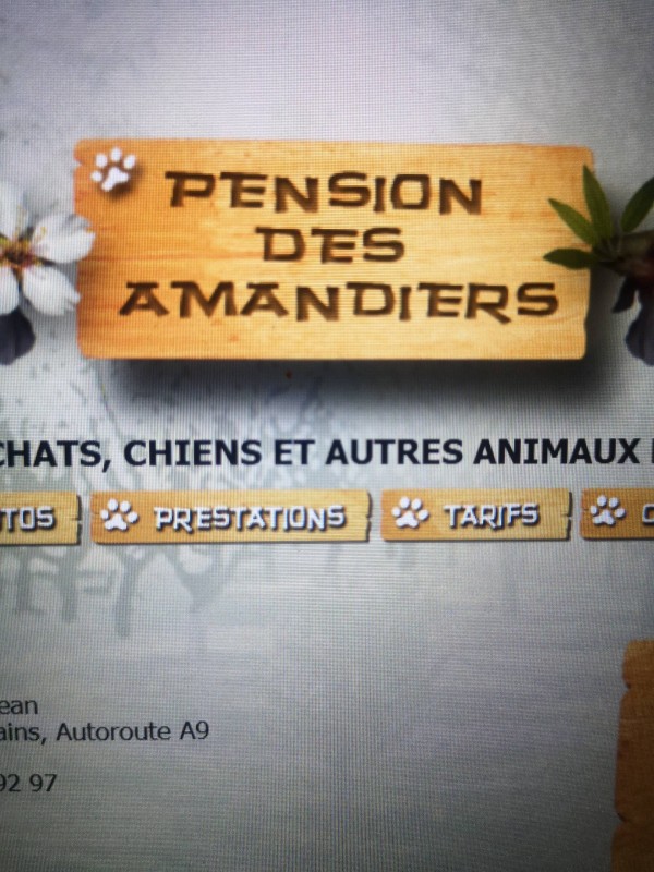 Pension pour chien et chat à Gigean Bassin de Thau Gigean 34770 hérault Pension des amandiers
